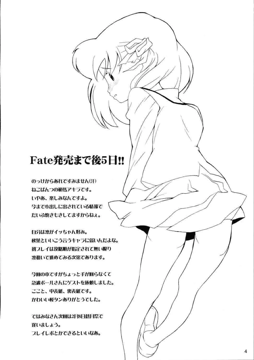 (サンクリ22) [ねこぱんつ (範馬アキラ)] Previous Night (Fate/stay night)_3