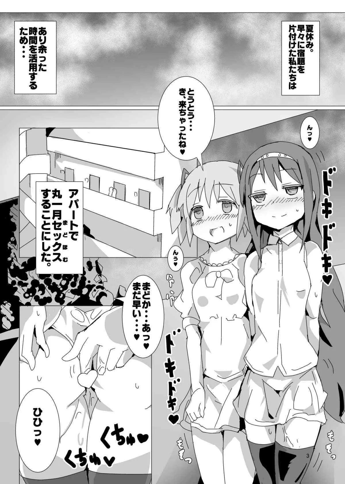 [外道団 (外道男爵)] 特濃!まどほむみるくばけぇしょん (魔法少女まどか☆マギカ) [DL版]_2