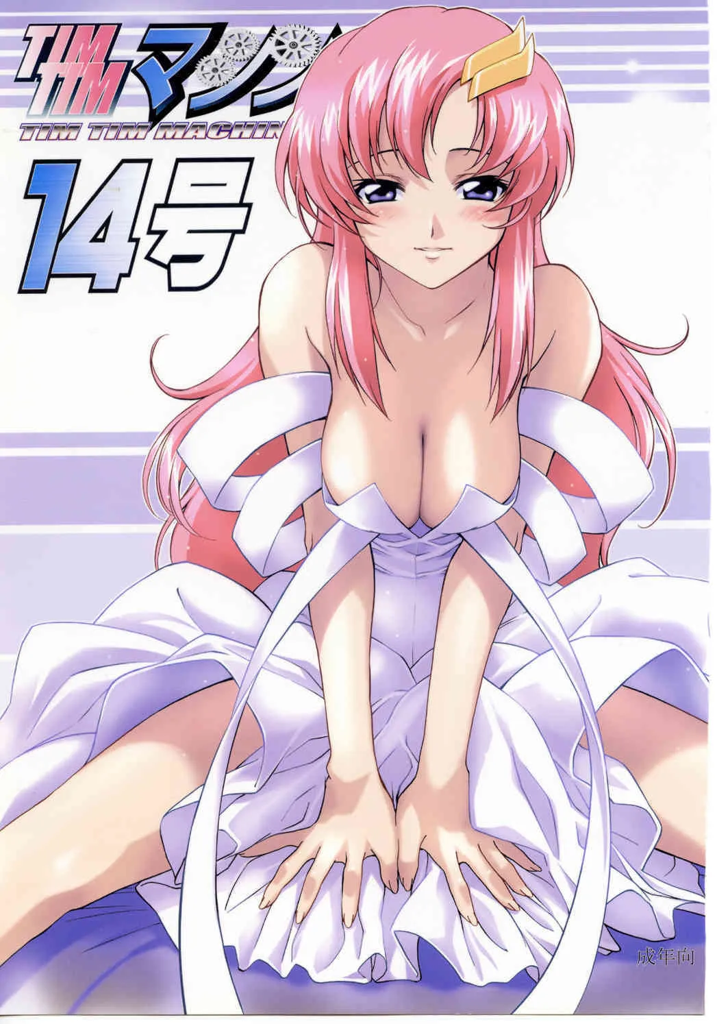 [TimTim Machine] TimTim Machine 14 (Gundam Seed Destiny)