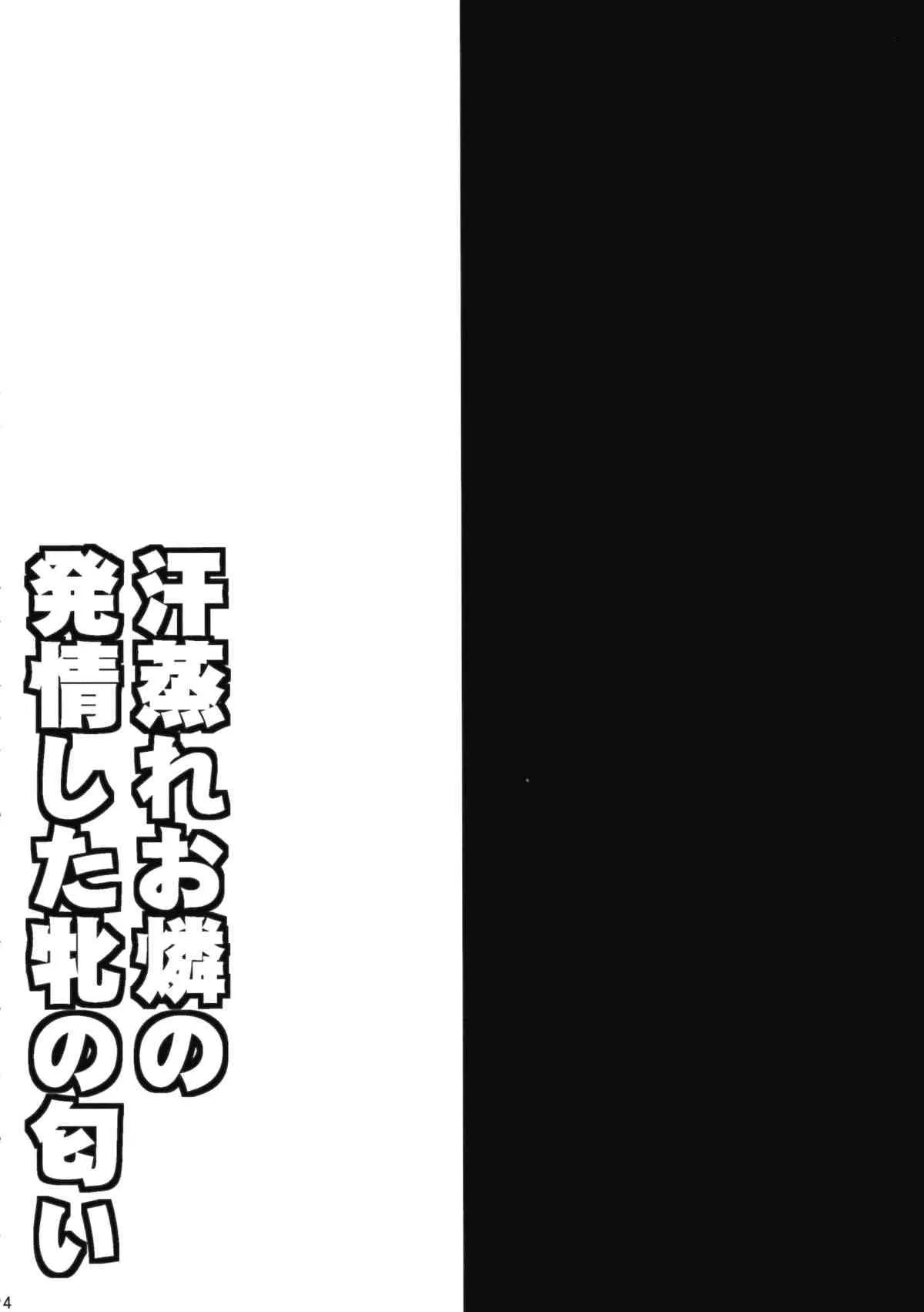 (C88) [1787 (マカロニandチーズ)] 汗蒸れお燐の発情した牝の匂い (東方Project)_3