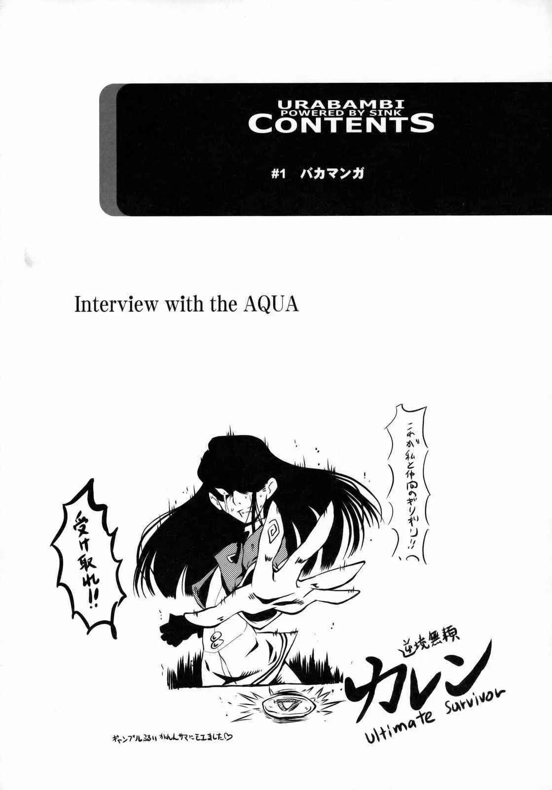 (C75) [裏方本舗 (SINK)] ウラバンビ vol.38 -Interview with the AQUA- (Yes! プリキュア5)_3