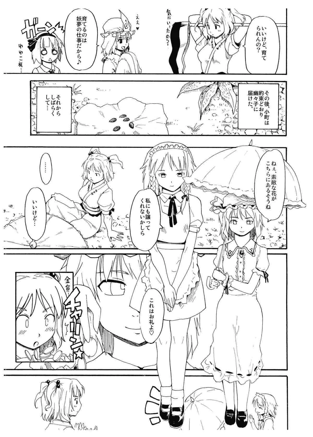 (C75) [PARANOIA CAT (藤原俊一)] 百年小町 (東方Project)_4