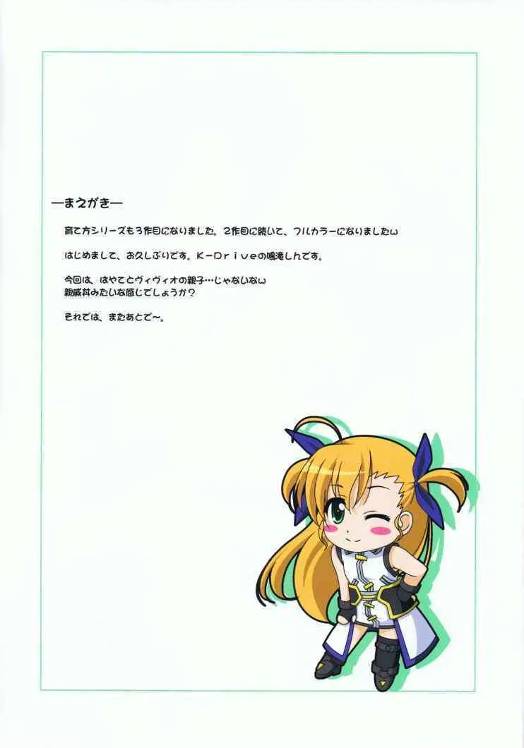 (C75) [K-Drive] 魔法少女の育て方 3 (魔法少女リリカルなのは)_3