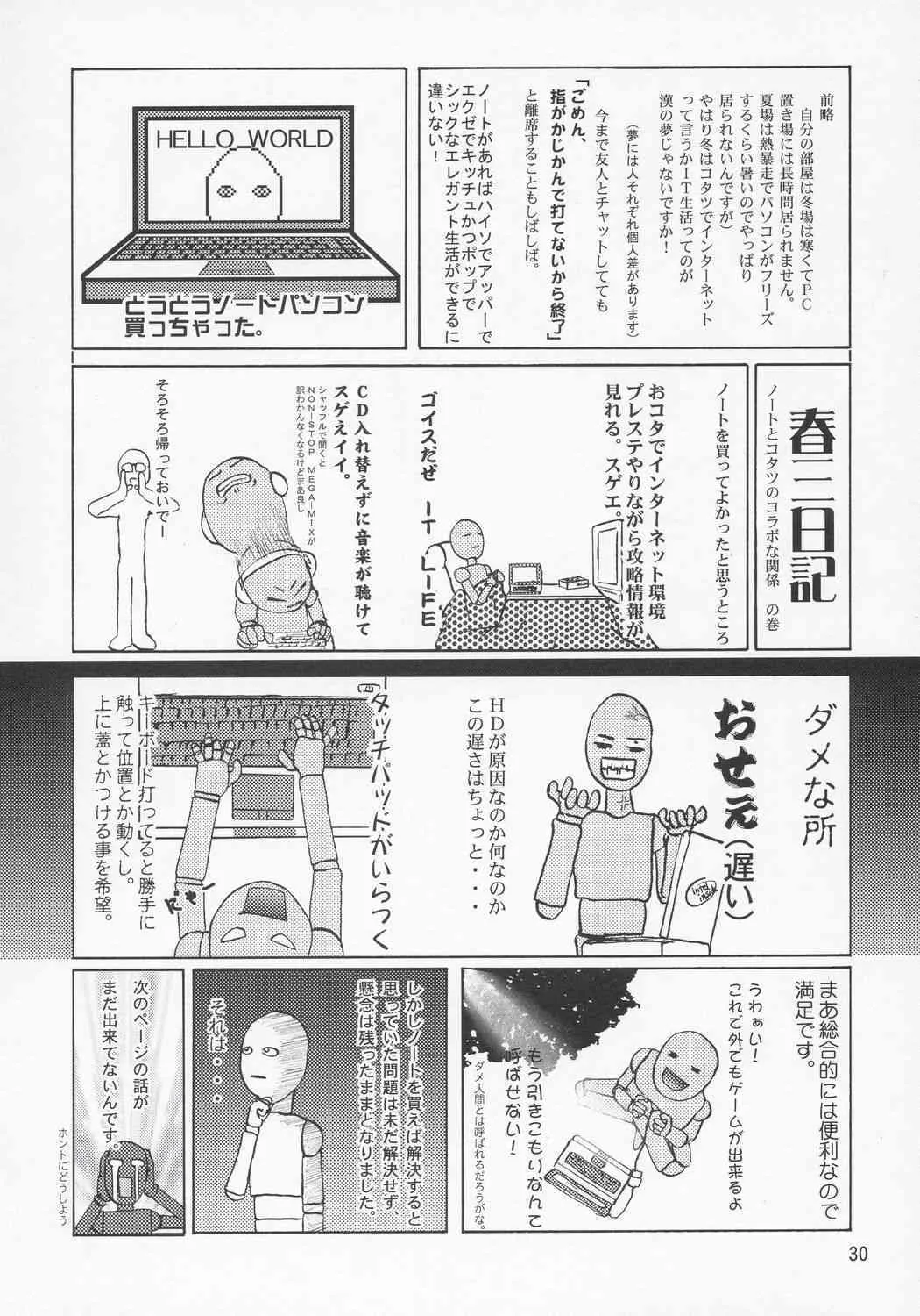image_29
