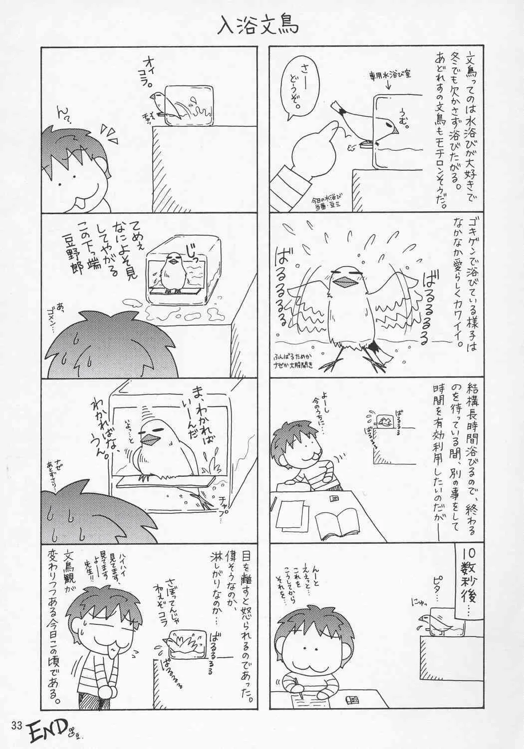 image_32
