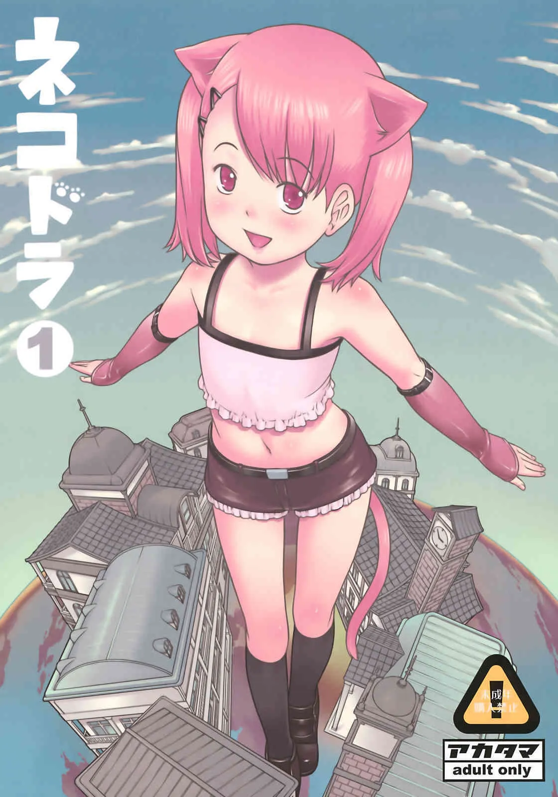(C75) [アカタマ (桜吹雪ねる)] ネコドラ1巻