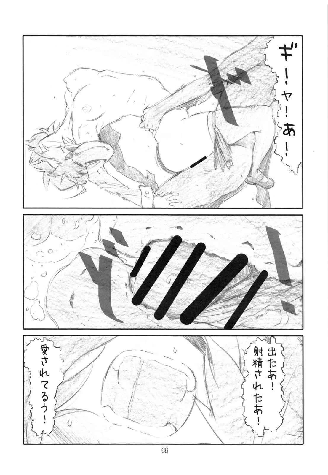 image_65