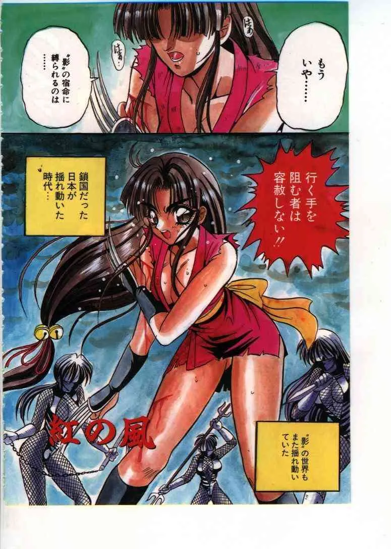 [アップルトン] フェアリーパラダイス_2