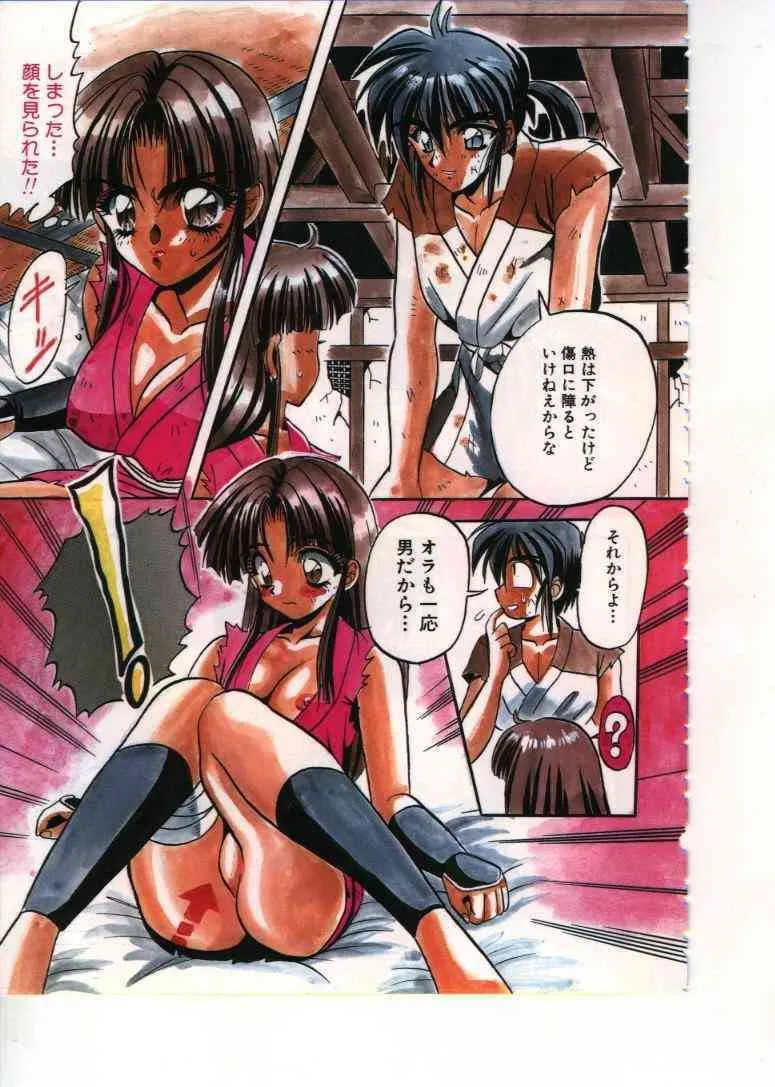 [アップルトン] フェアリーパラダイス_5