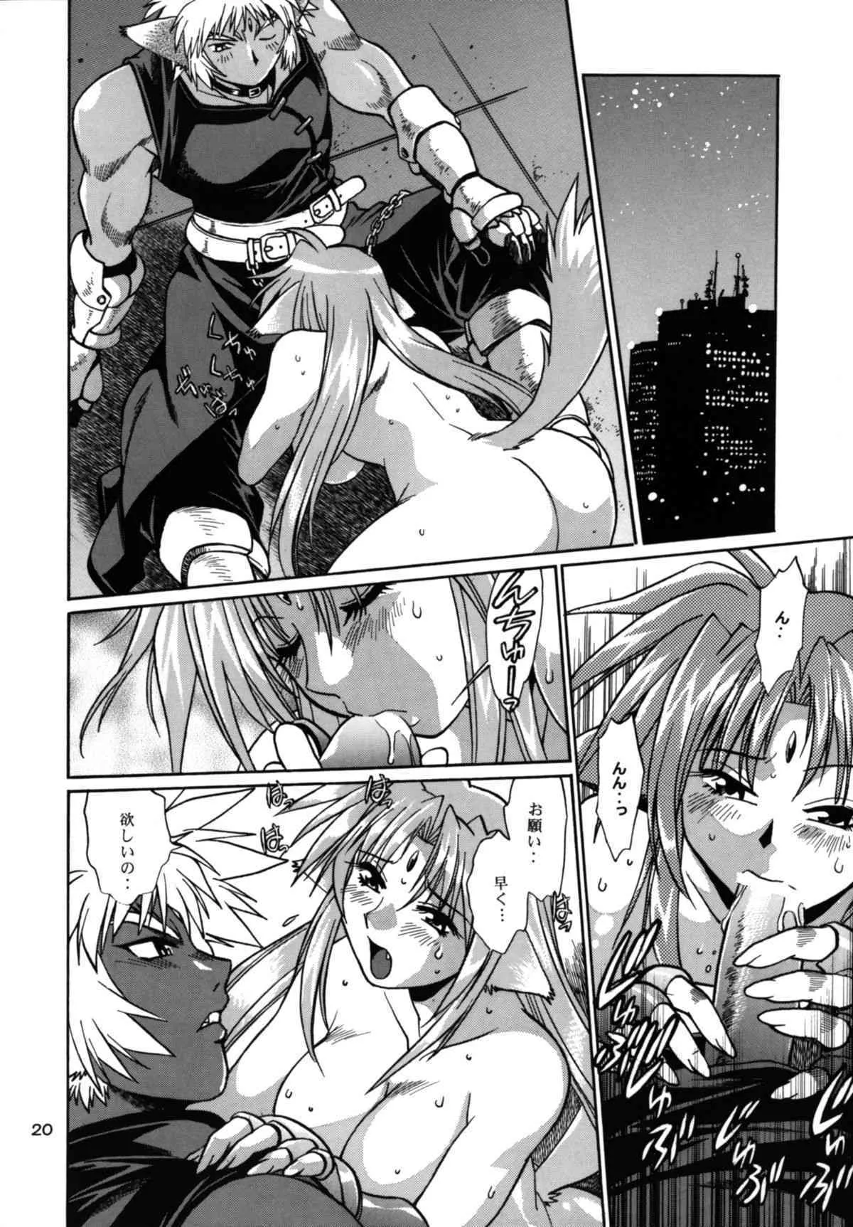 (サンクリ34) [スタジオかつ丼 （真鍋譲治）] 獣たちの晩餐 (魔法少女リリカルなのは)_8