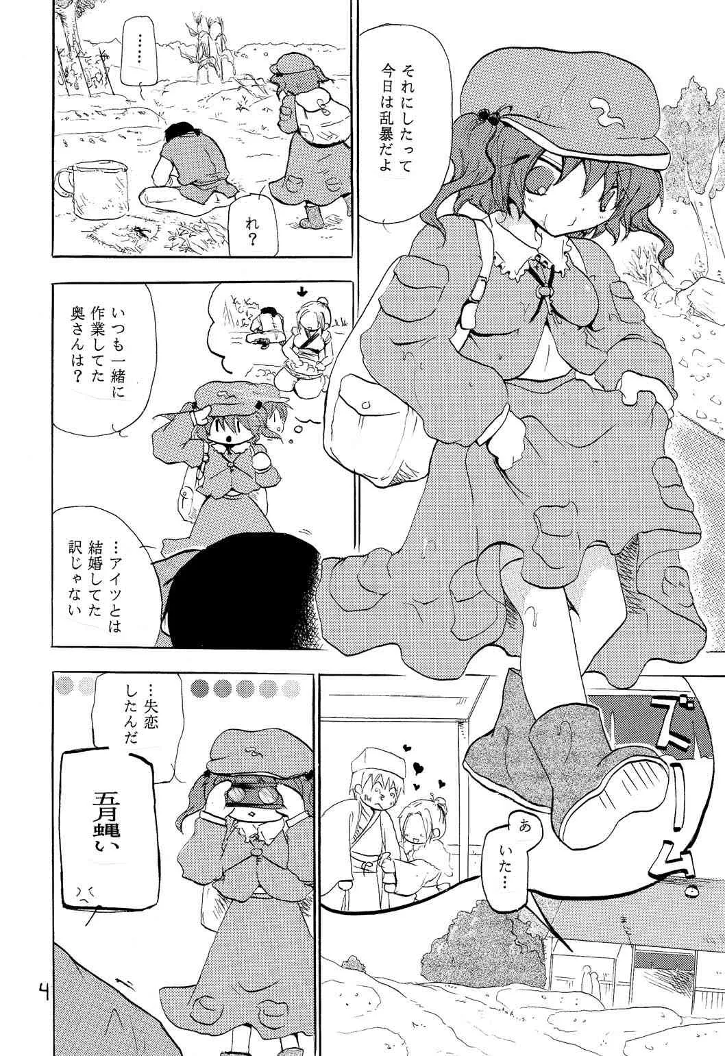 [大人の道楽 (オレヌマトオコ)] NTR (東方Project) [DL版]_3