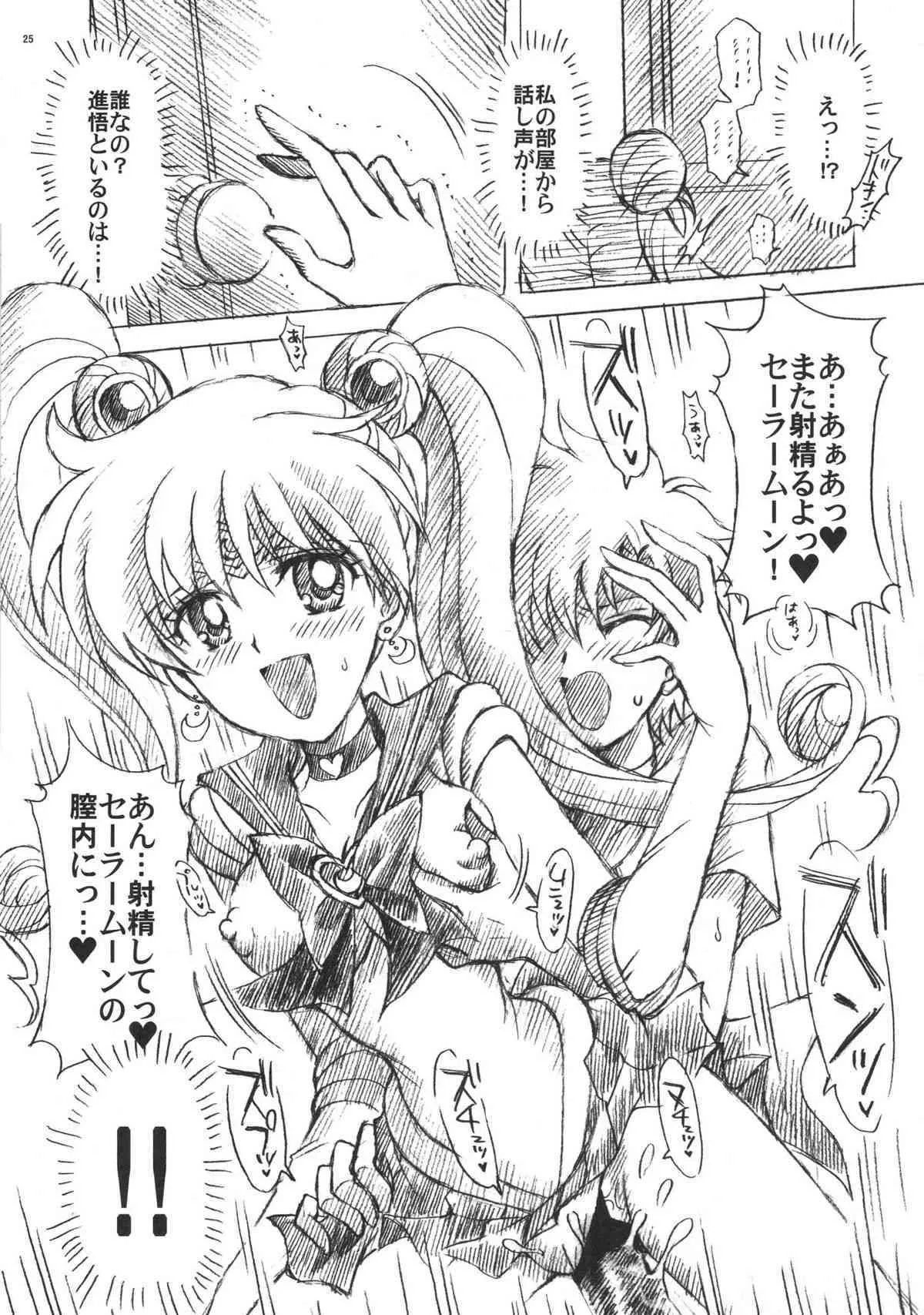 (C74) [小鳥事務所 (桜文鳥)] chanson de I’adieu 3 (セーラームーン)
