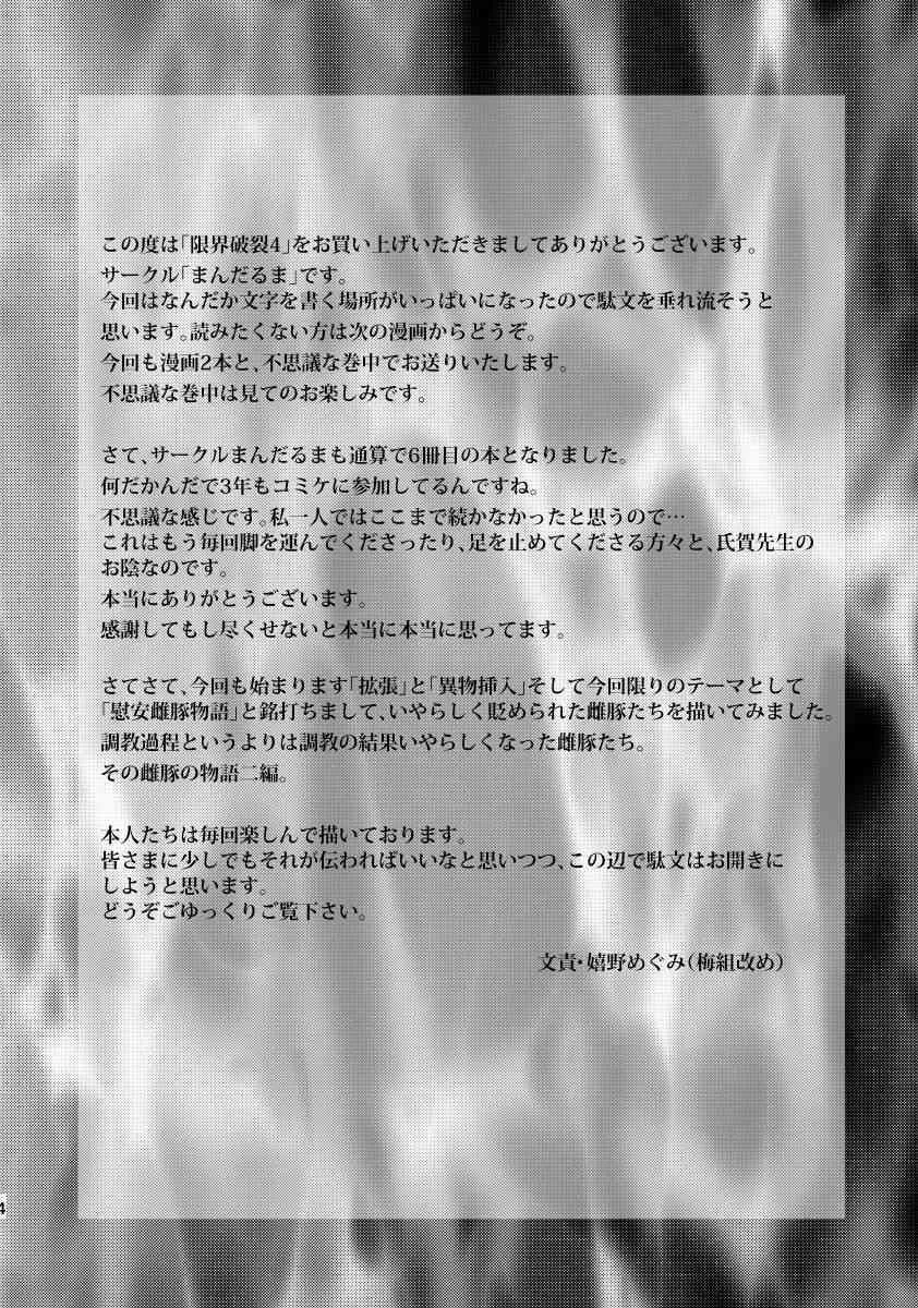 (C74) [まんだるま(氏賀Y太, 嬉野めぐみ)] 限界破裂 4_3