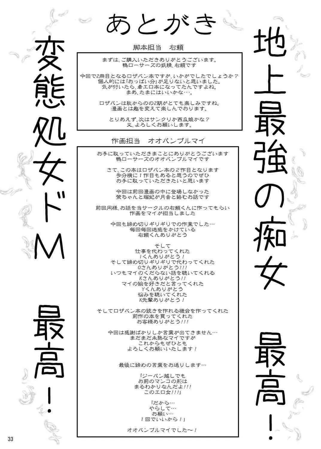 image_33