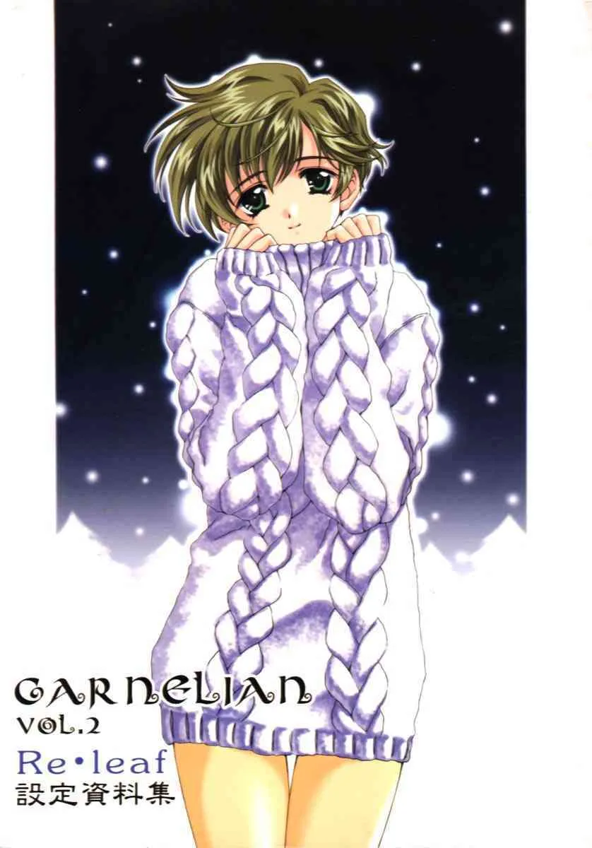 [CARNELIAN] CARNELIAN vol.2 – Re·Leaf 設定資料集