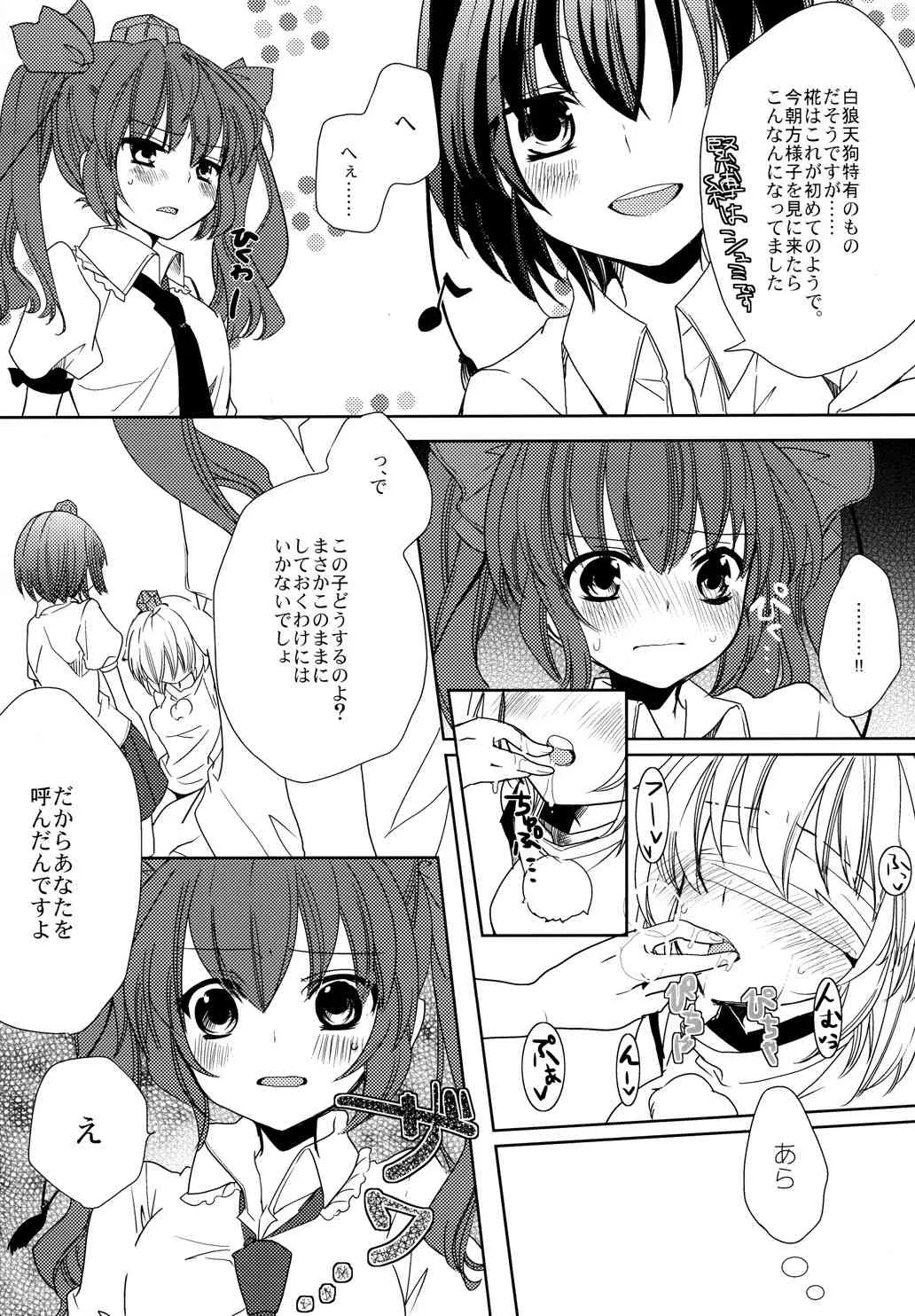 (C84) [N.S.project (ザネリ、マカキセキ)] もみじいじり (東方Project)_4