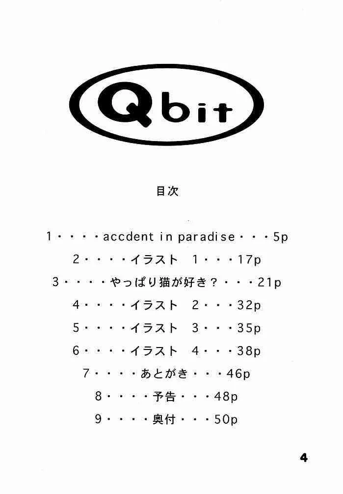 (C52) [Q-Bit (Q-10)] Q-bit vol.2 – Savior? (ヴァンパイアセイヴァー)_3