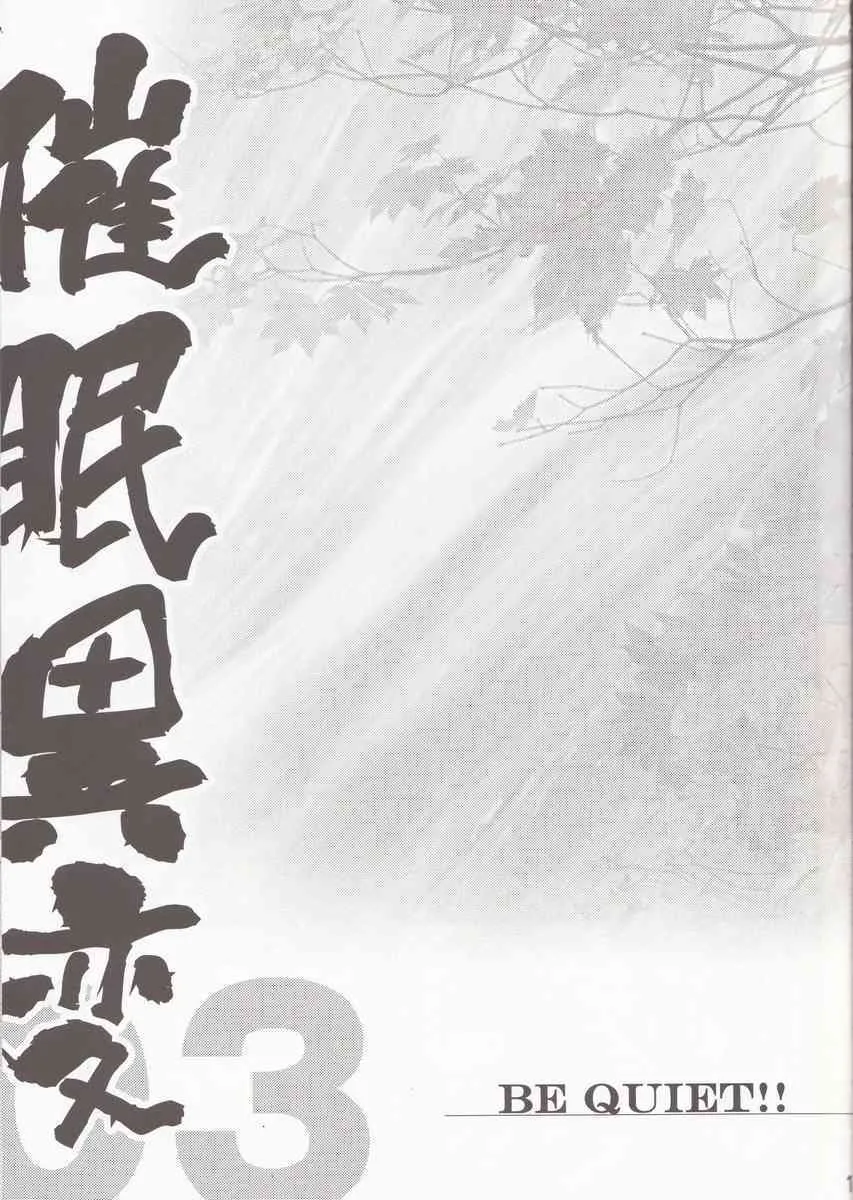 [IncluDe] BE QUIET!! (touhou project)_9