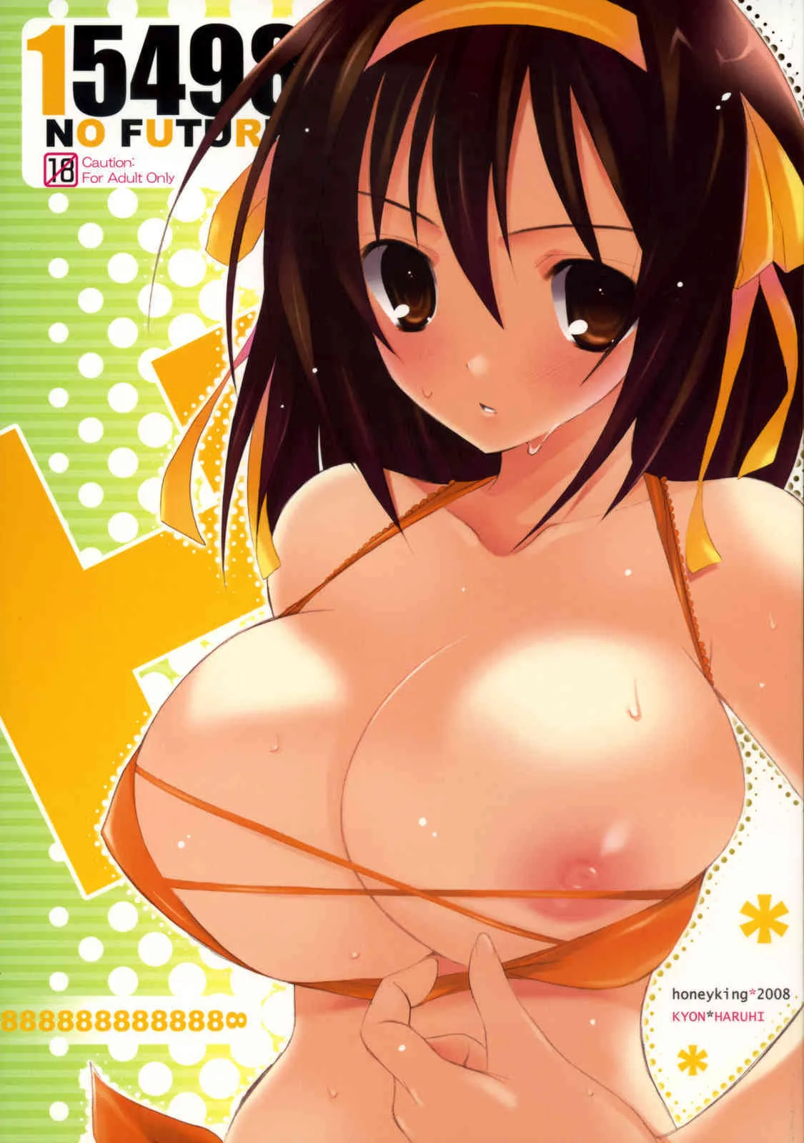 (C74) [honeyking (蜜キング)] 15498 NO FUTURE (涼宮ハルヒの憂鬱)