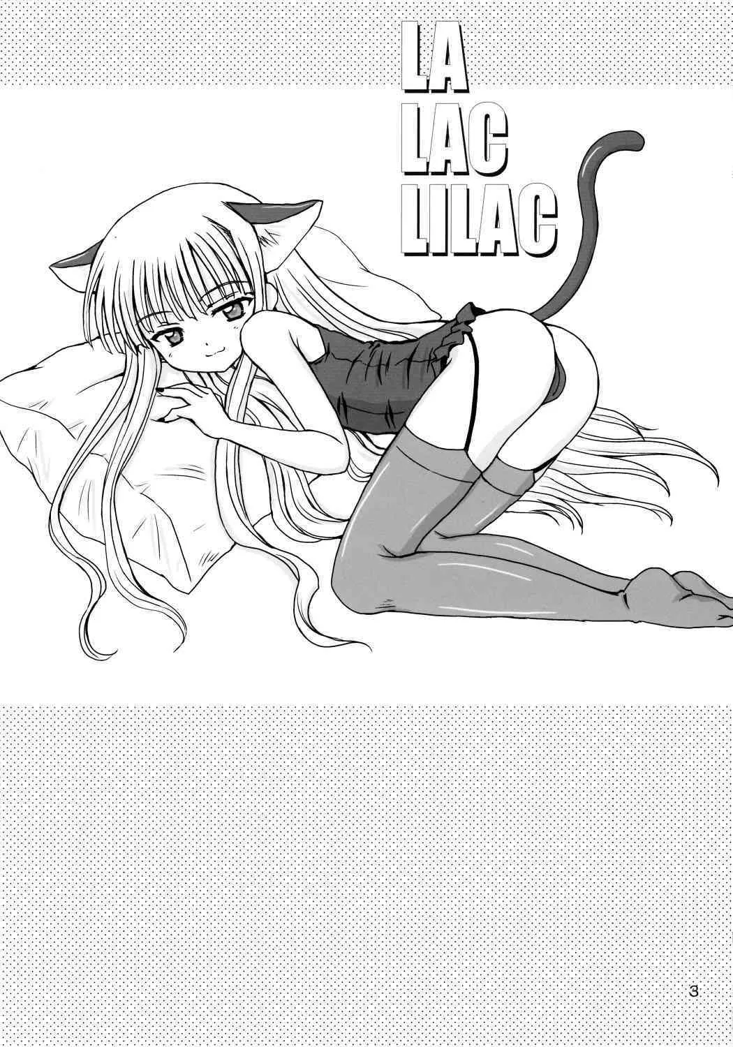 (C70) [NIKOPONDO (青山怜央)] LA LAC LILAC (魔法先生ネギま！)_2