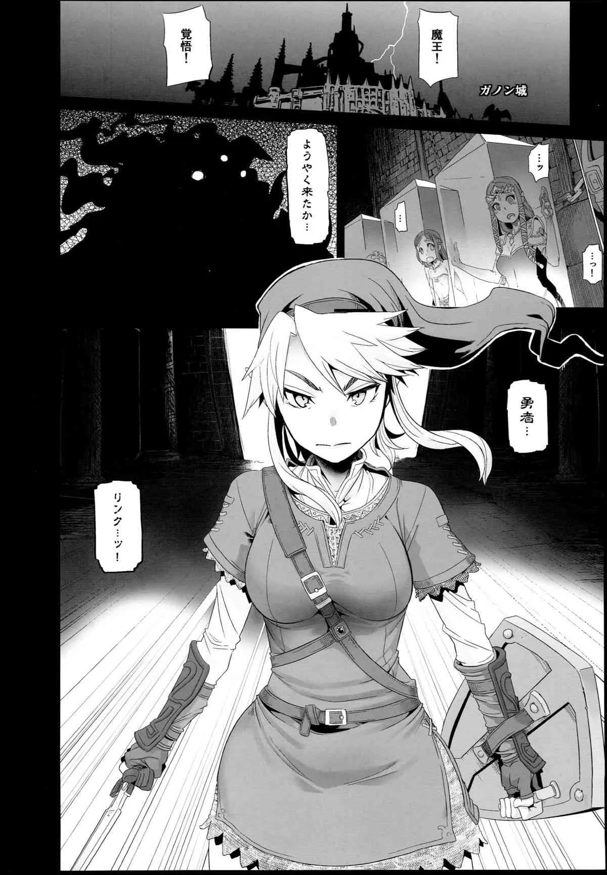 (C85) [DA HOOTCH (新堂エル)] PIG (ゼルダの伝説)_3