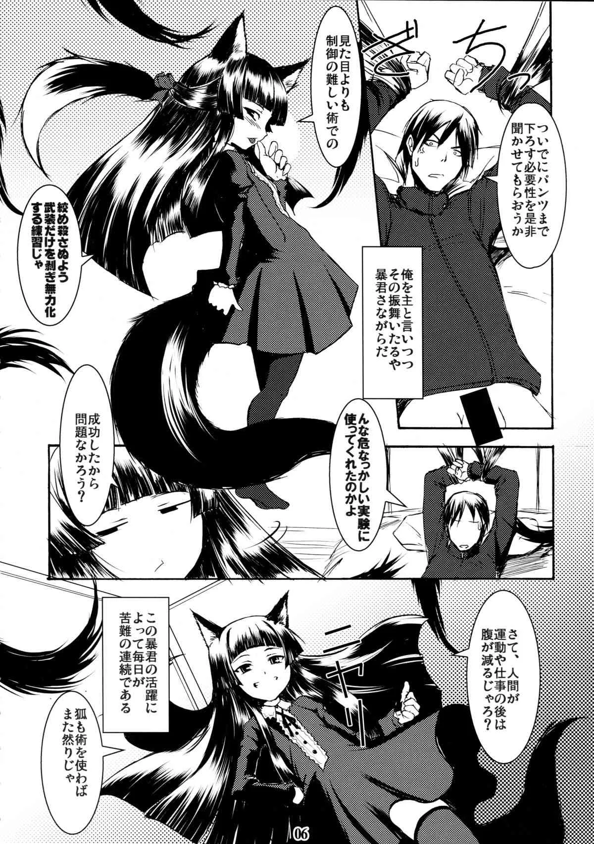 (サンクリ39) [端末異常 (BadHanD)] 玄狐ノ檻_5