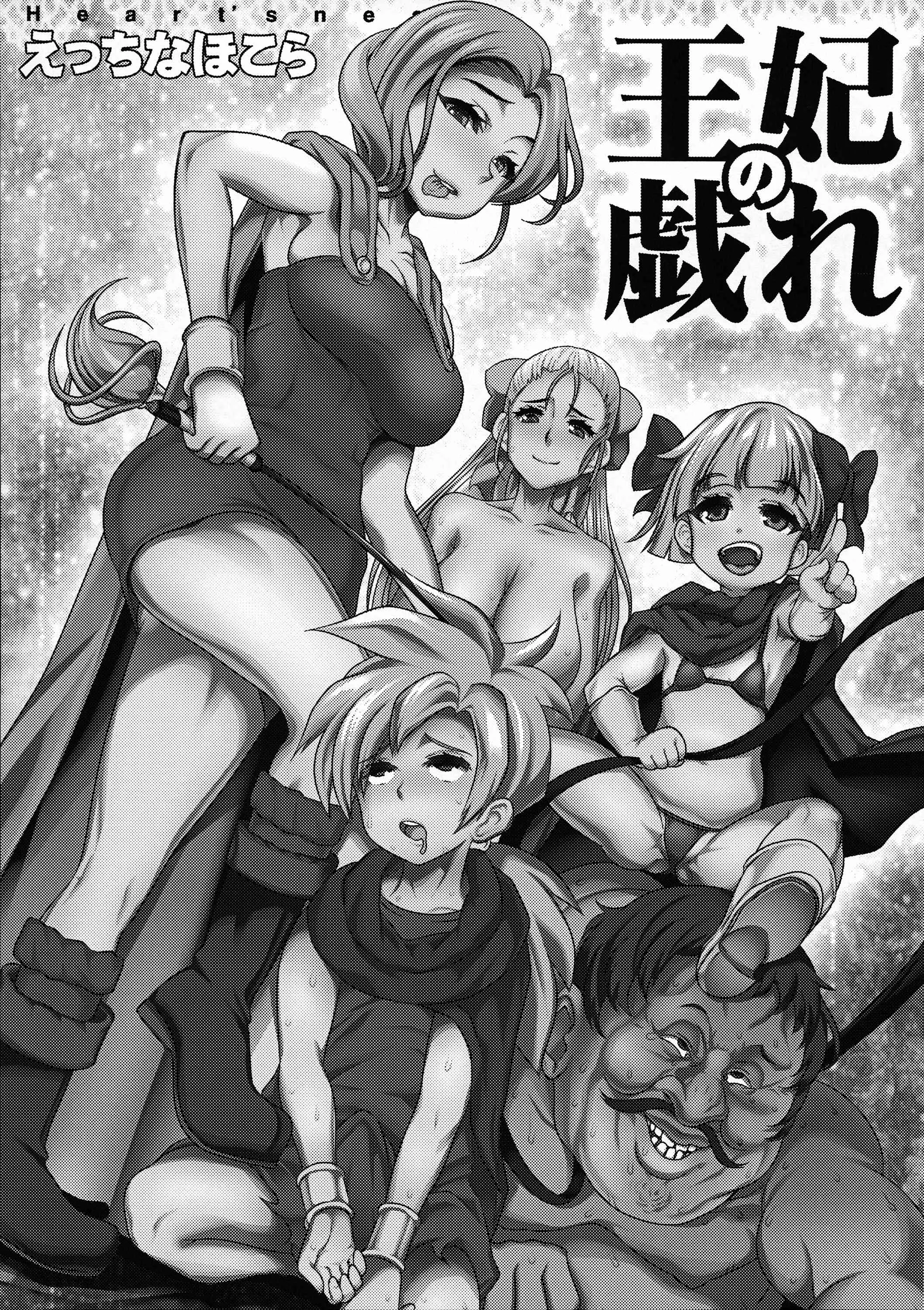 (C89) [Heart’s nest (hato)] 王妃の戯れ (ドラゴンクエストV)_2