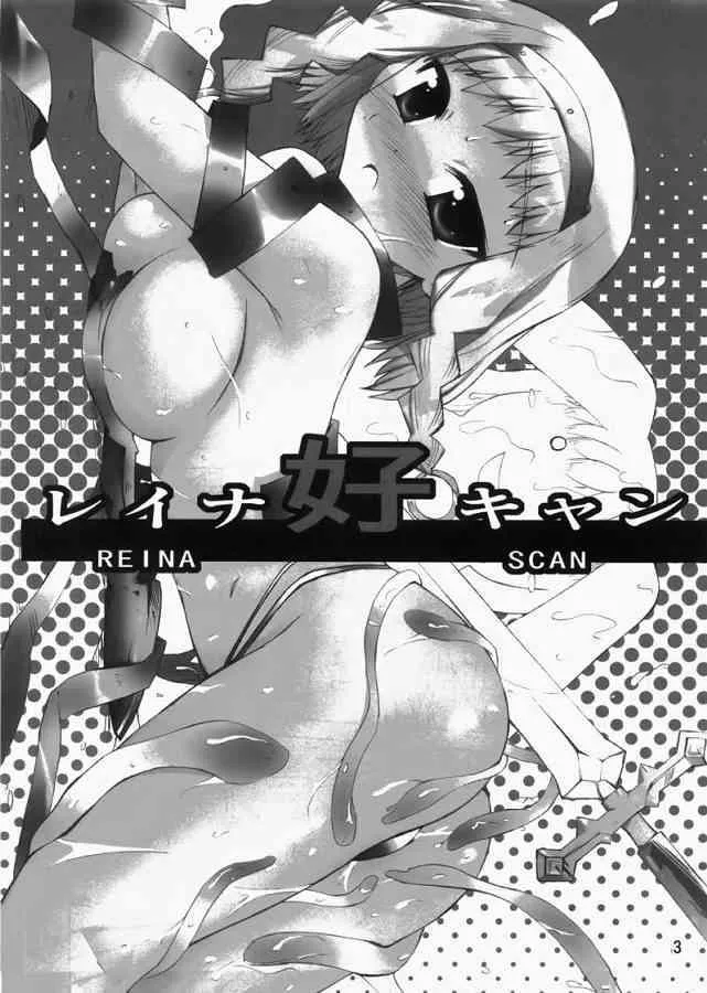 (C73) [ふなのりはうす (水兵きき)] レイナ好キャン (クイーンズブレイド)