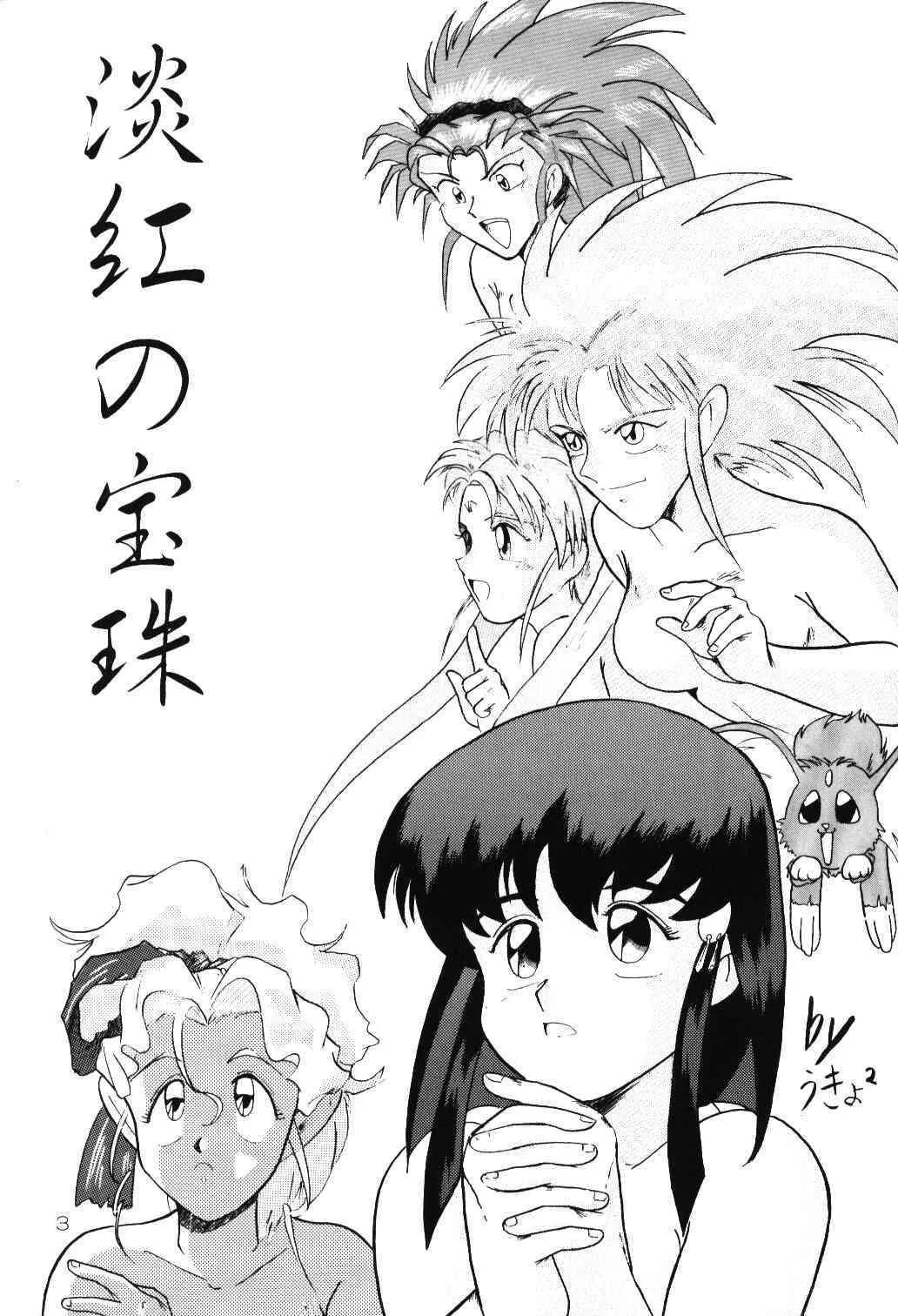 (C46) [チーム プラスＹ&ダルタニ 共同事業体 (よろず)] 淡紅の宝珠 (天地無用！)_2