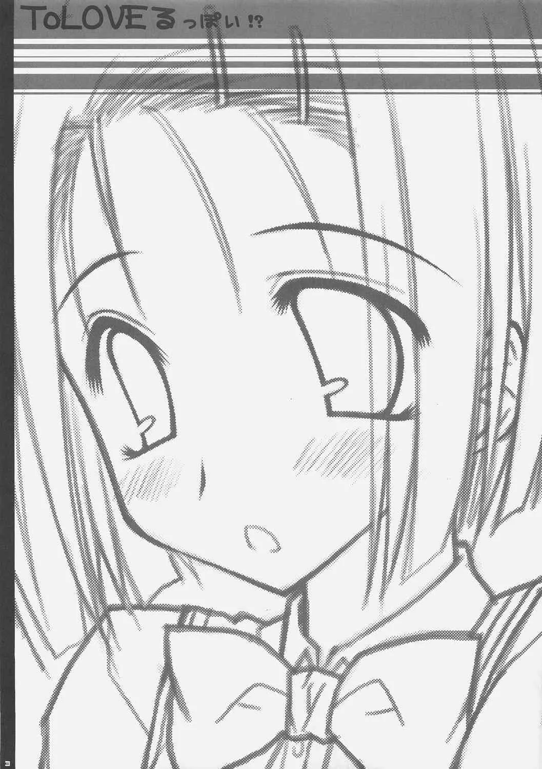(SC33) [PINK (あらいぐま)] ToLOVEる っぽい!？ (ToLOVEる)_2