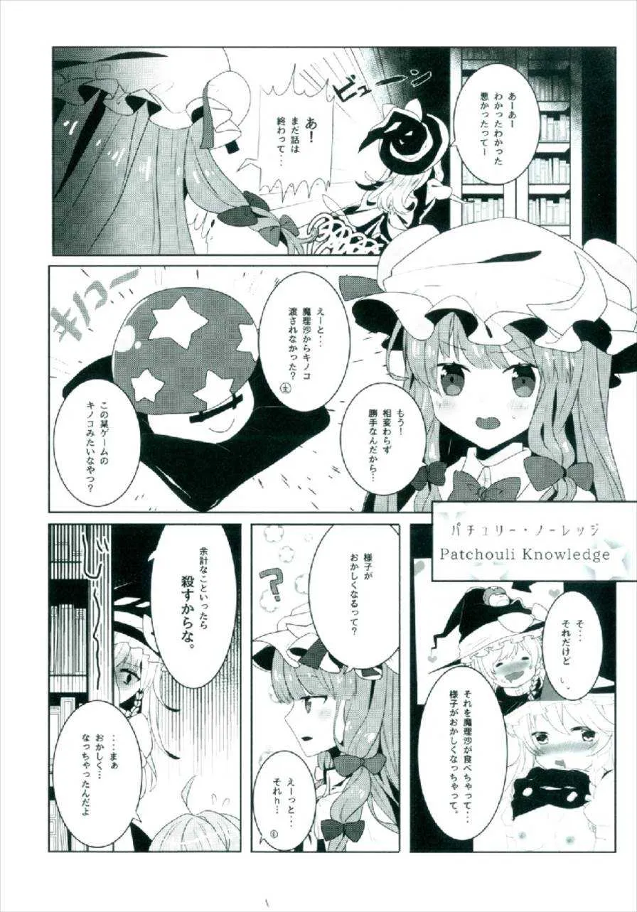 (秋季例大祭4) [だい③のしっぽ (ATM)] えっちな幻想郷～パチュリーとえっちな魔法編～ (東方Project)_6