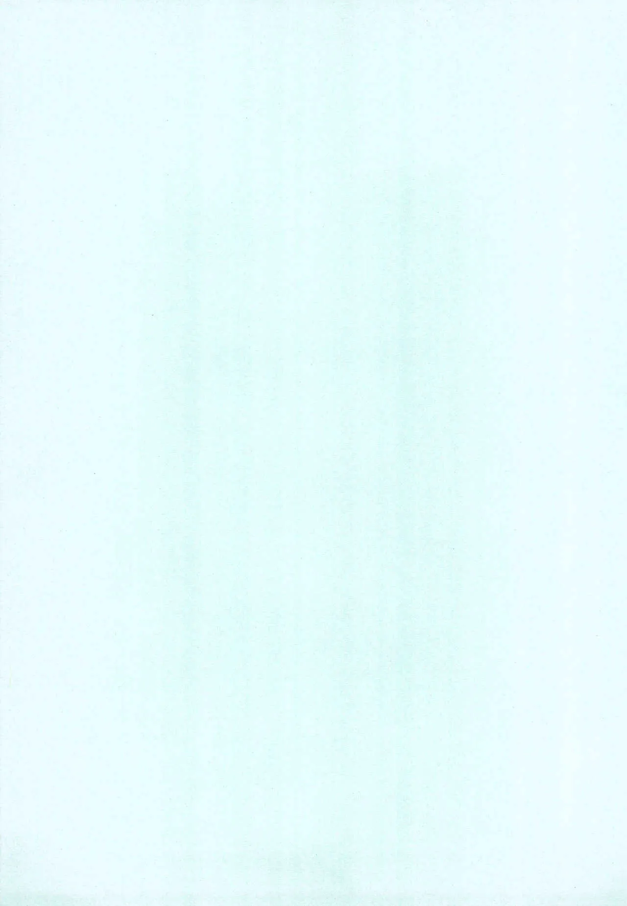image_41