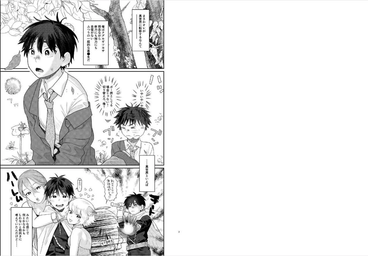 [すんち] 転移した異世界でパーティーをくんだおねえさんになぜか男の俺がメス扱いされた。_2