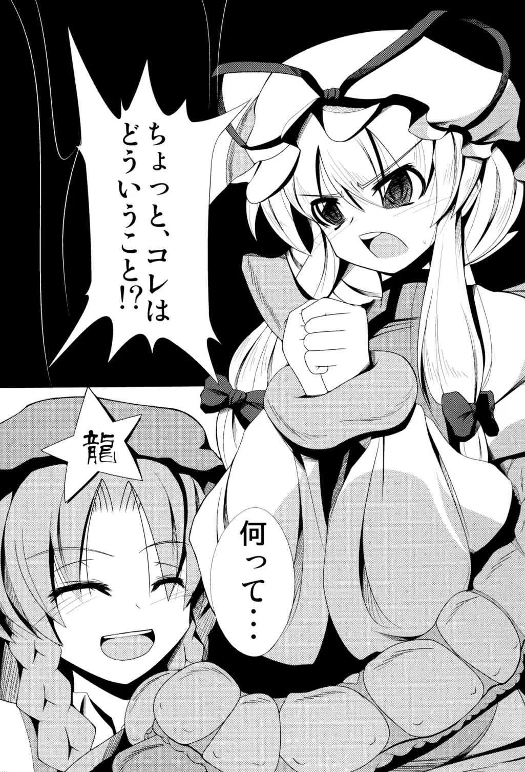 (COMIC1☆06) [大吟醸まっしぐら (ドブロッキィ)] 触姦 (東方Project)_3
