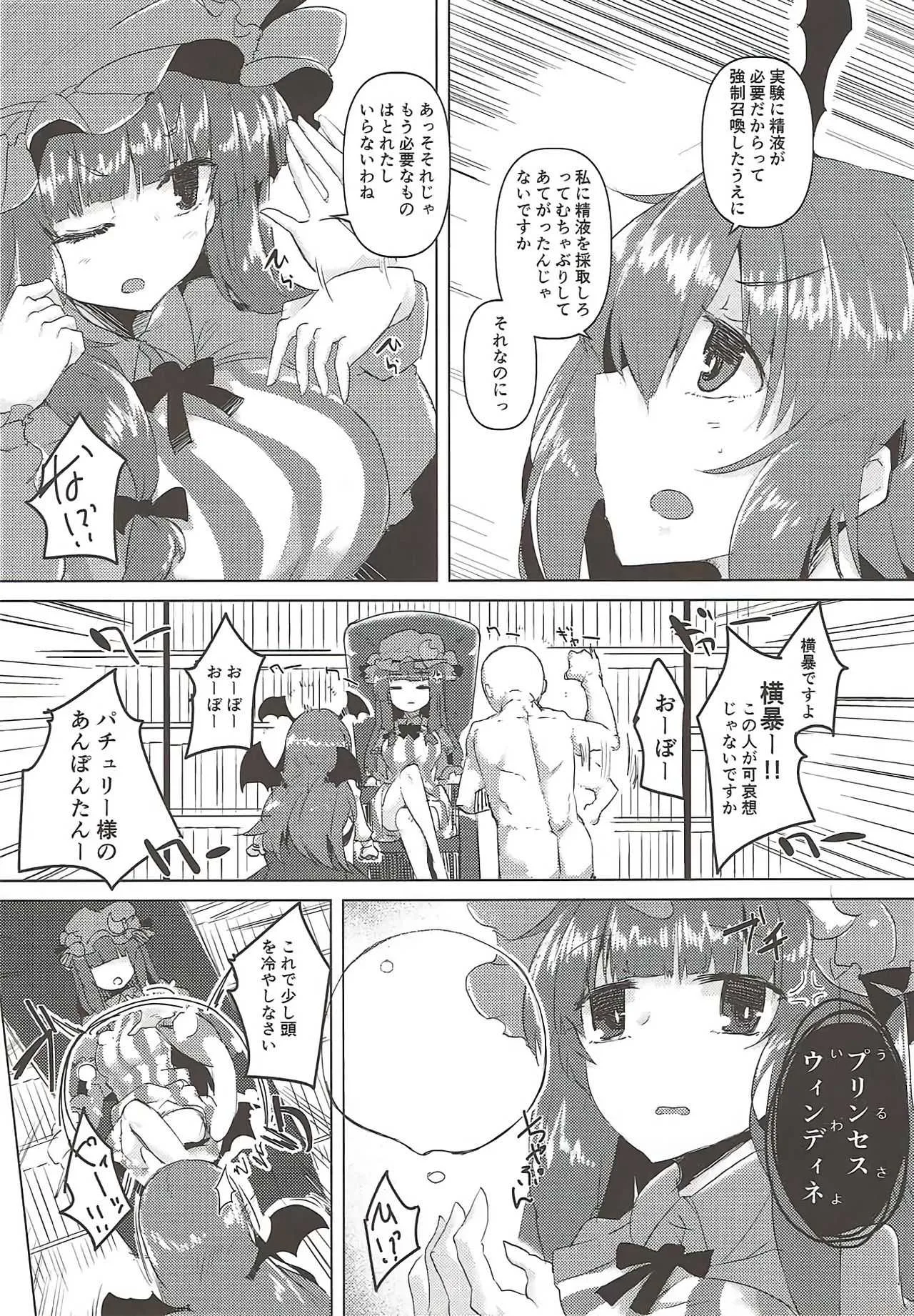 (例大祭14) [662KB (拾次)] 小悪魔がいちゃらぶのぱちゅりー本 (東方Project)_6