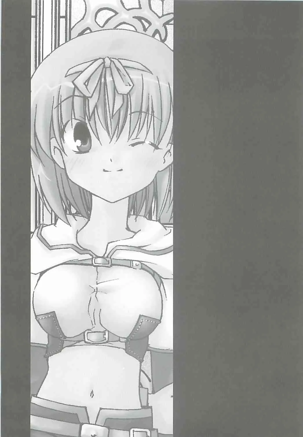 (サンクリ23) [PARANOIA CAT (藤原俊一)] 秘密のギルドにご用心 1+2+α (ラグナロクオンライン)_2