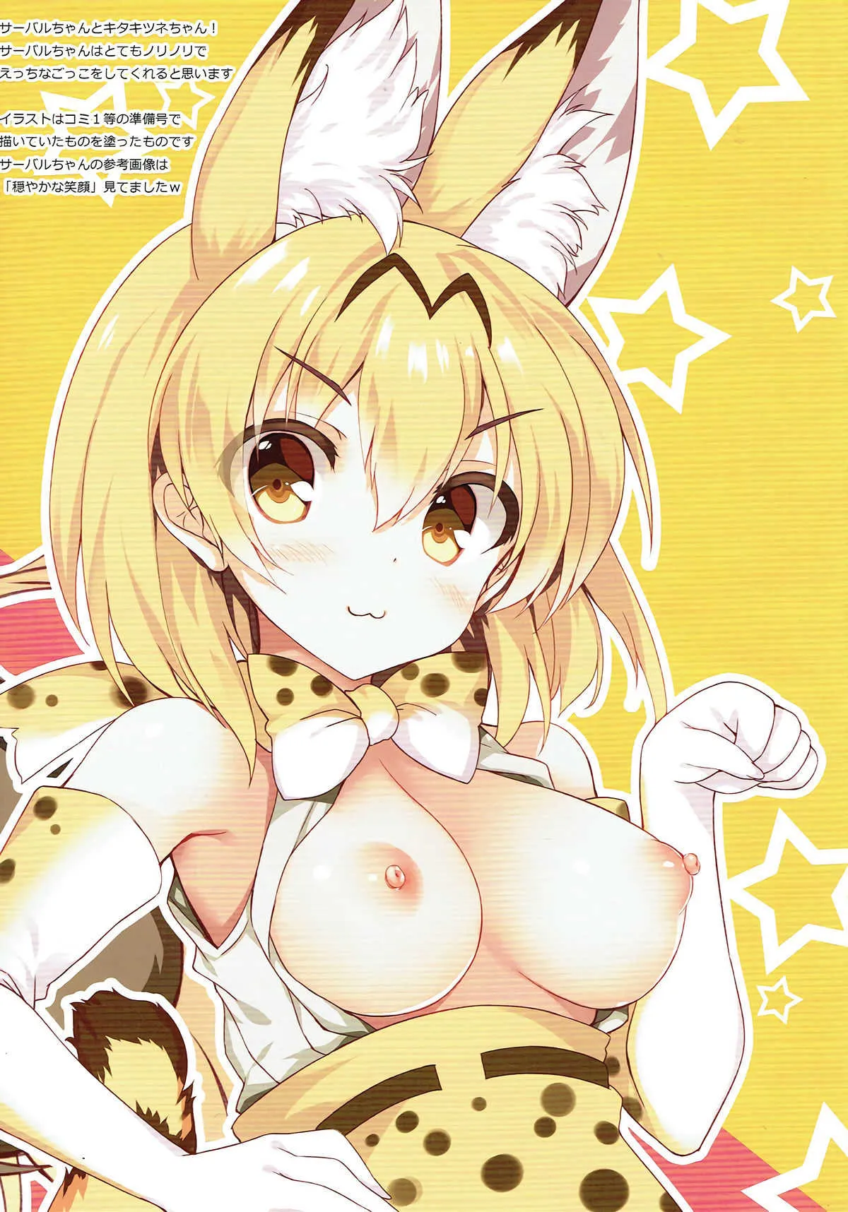 (C92) [Marvelous Grace (立羽)] KEMOPAI (けものフレンズ)_3