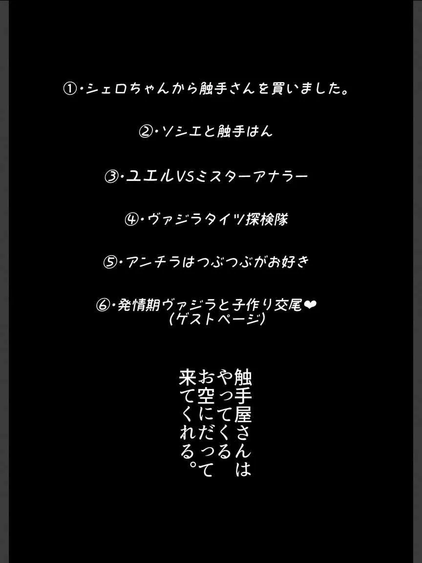 [平胸好き委員会 (奥ヴぁ)] お空の民と触手さん (グランブルーファンタジー) [DL版]_3