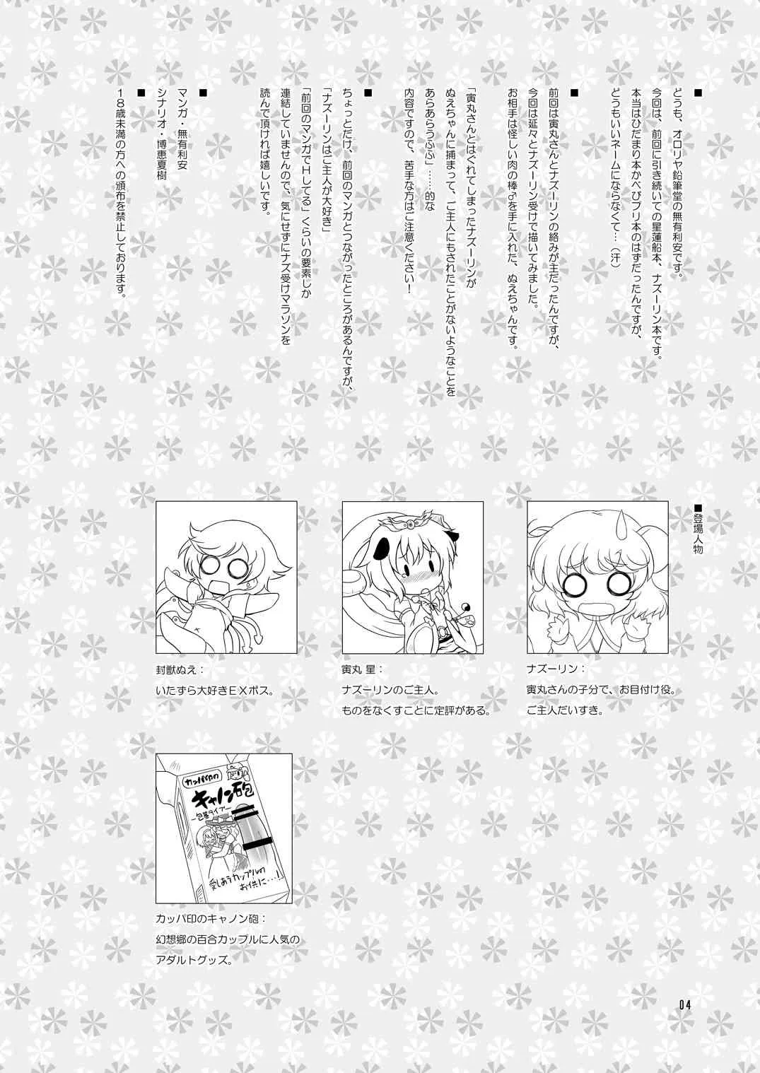[オロリヤ鉛筆堂 (博恵夏樹, 無有利安)] わたしのナズーリン2 (東方Project) [DL版]_3
