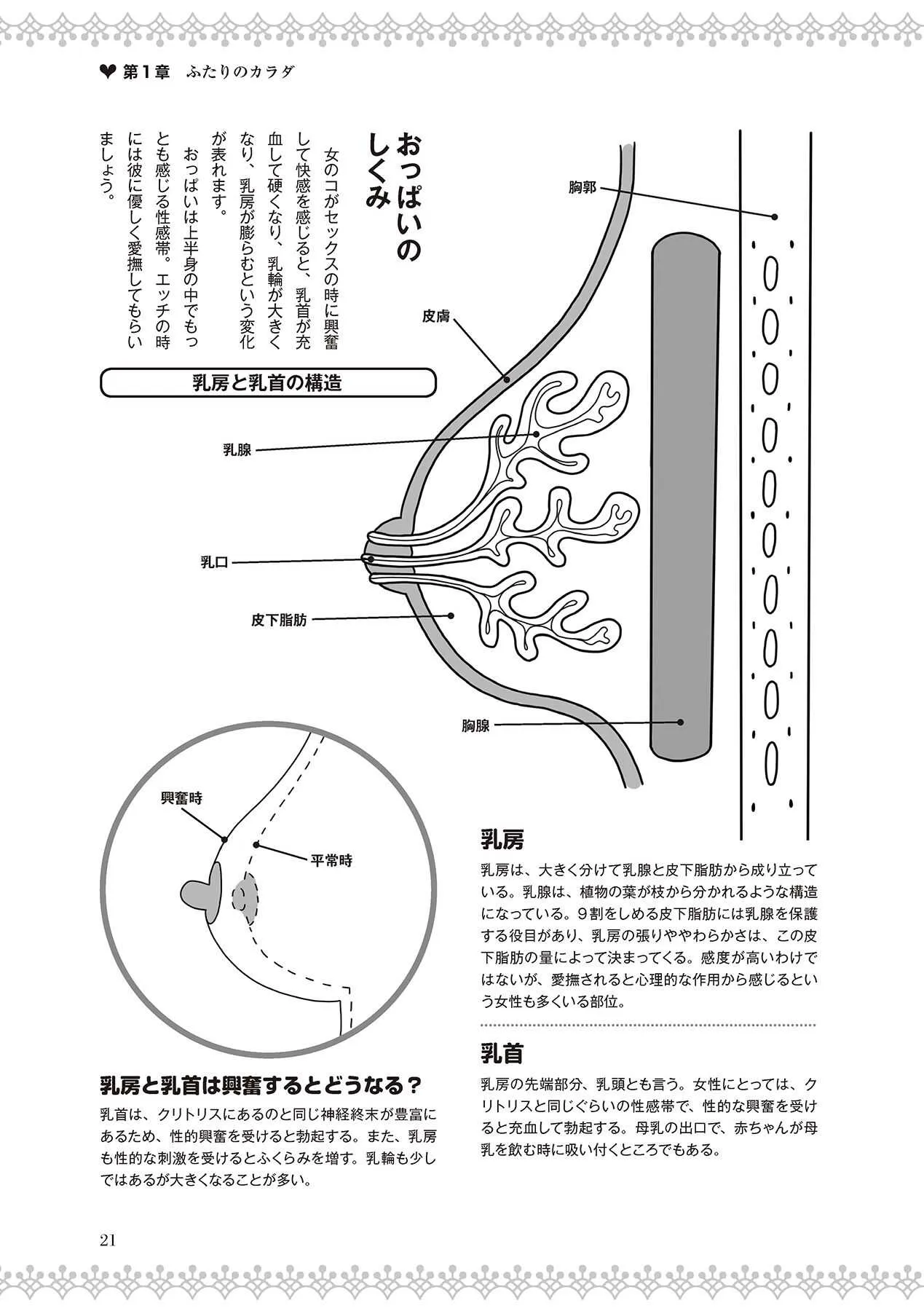 image_23