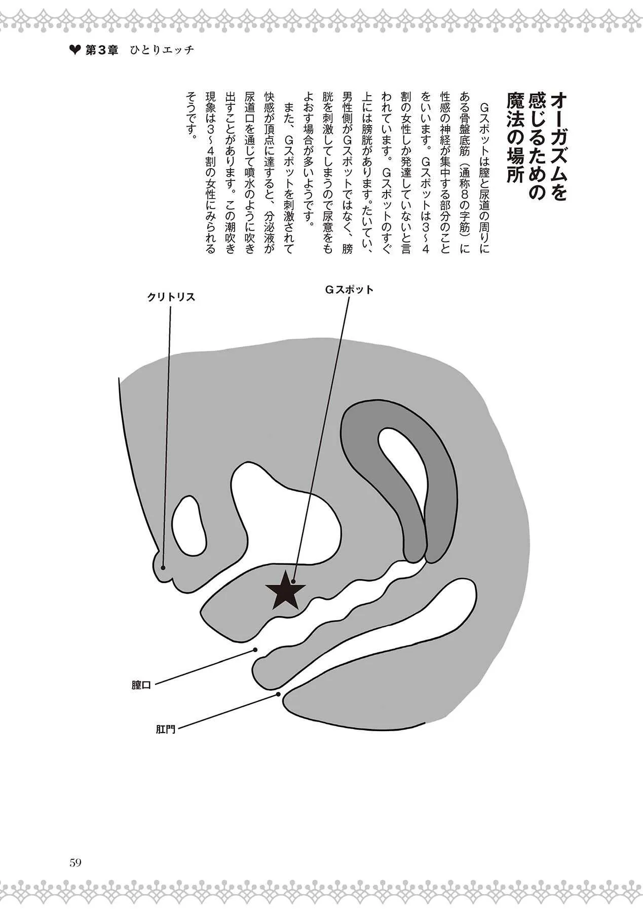 image_61