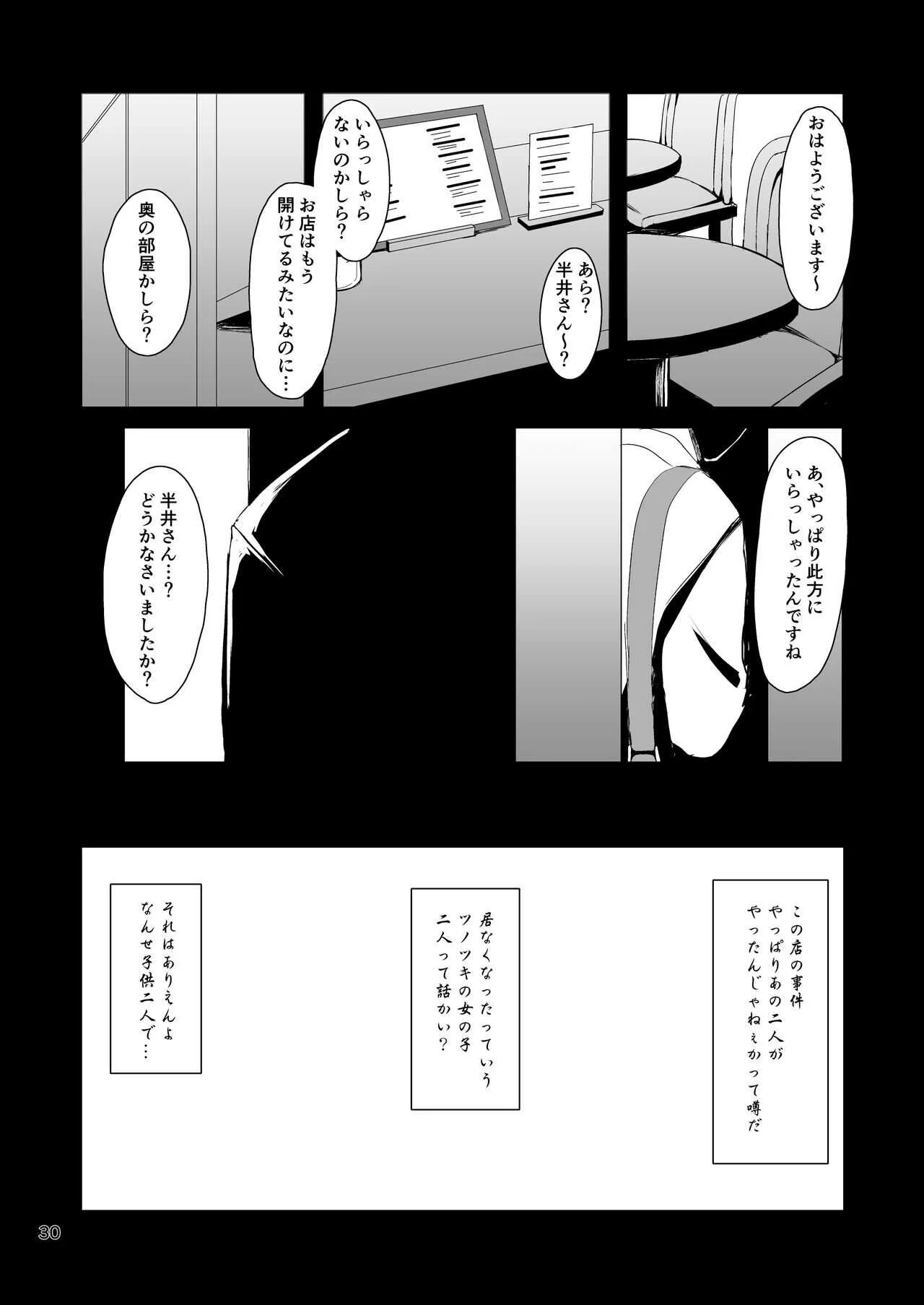image_29