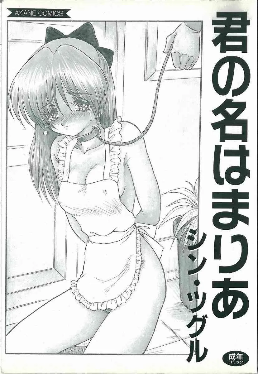 [シン・ツグル] 君の名はまりあ_2