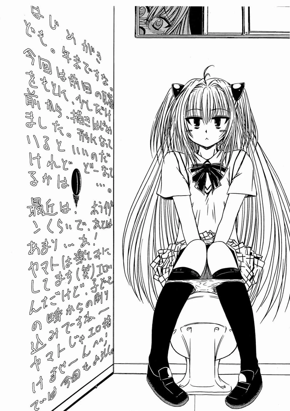 (C83) [仰天力 (太巻多摩も。)] おっぱいちんちん練習帳 改 (ToLOVEる-とらぶる-)_3
