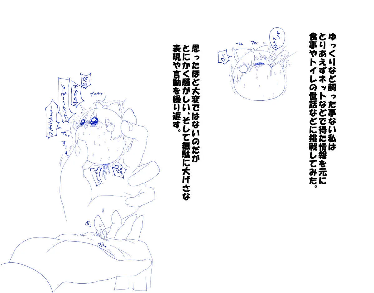 image_52