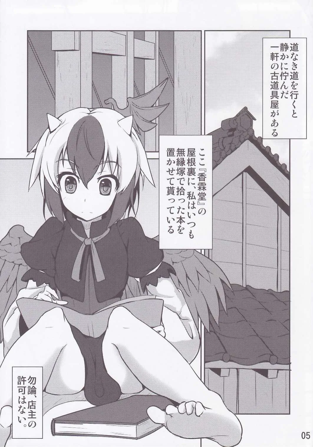 [ひなた水 (ひなみ)] しあわせ家禽計画 (東方Project)_2