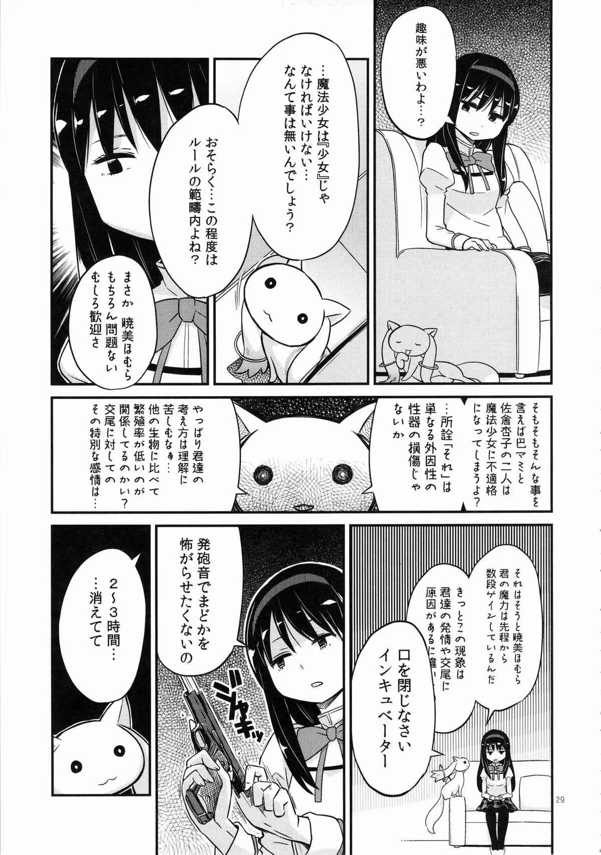 image_29