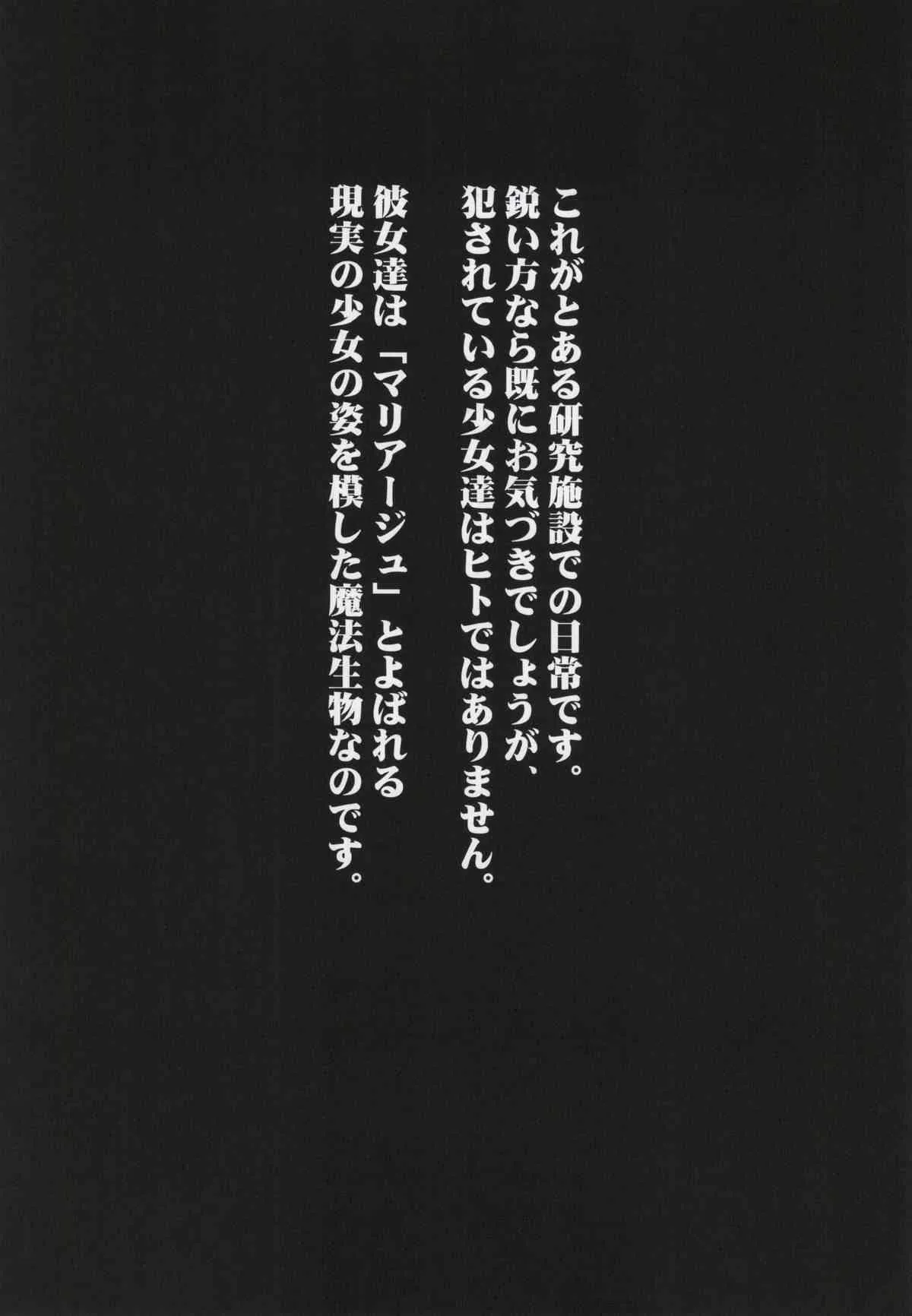 image_12