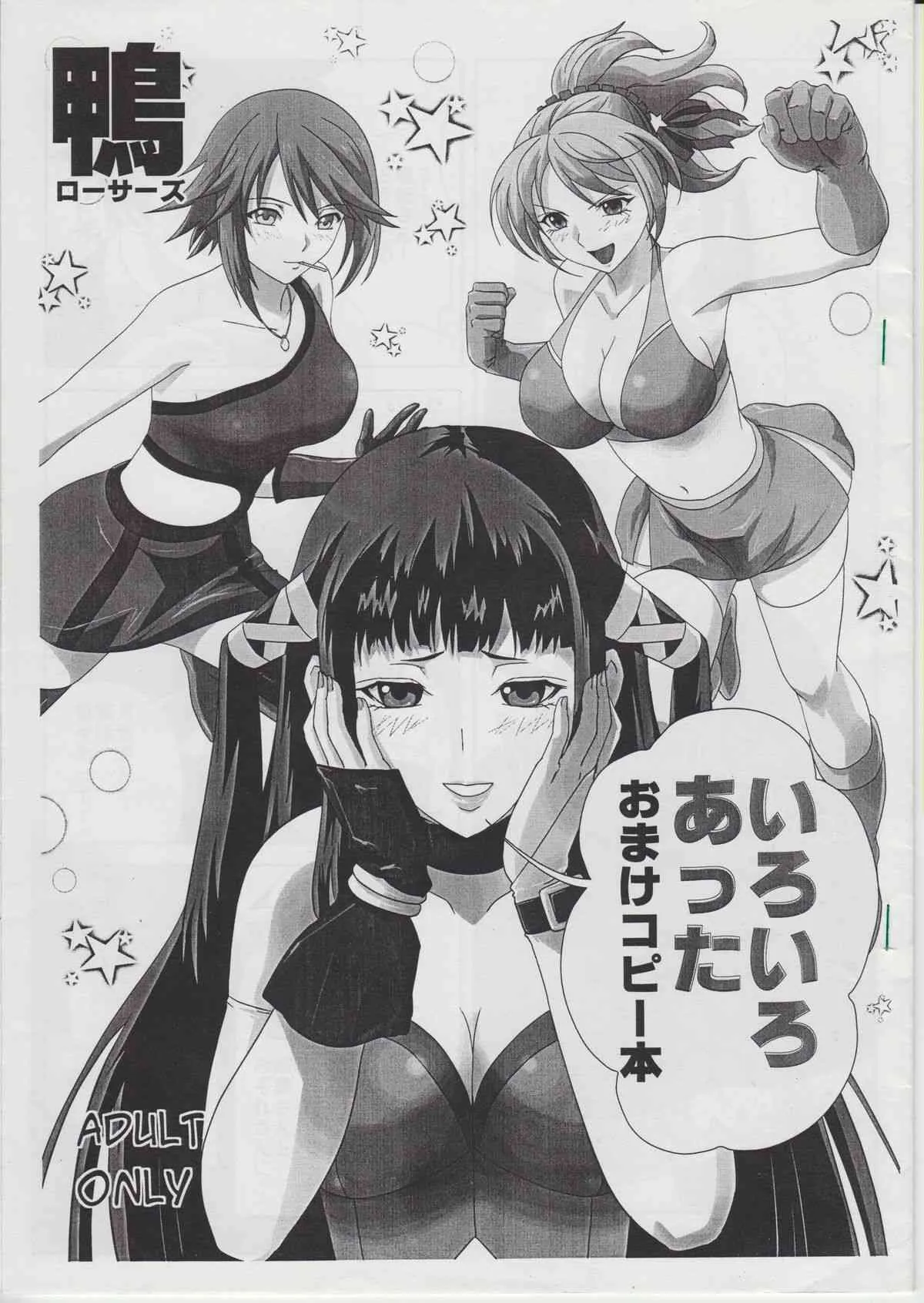 (C75) [鴨ローサーズ (右頼, オオバンブルマイ)] いろいろあったおまけコピー本 (ロザリオとバンパイア)