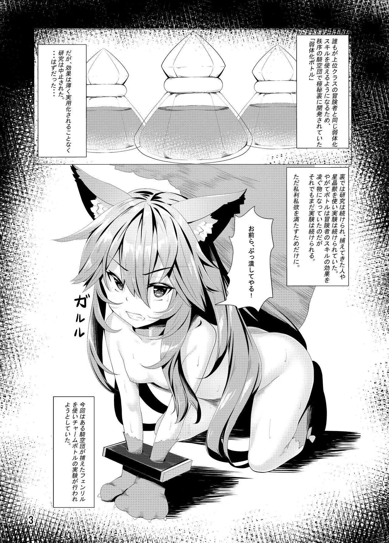 フェンリルちゃんのチャーム本_3